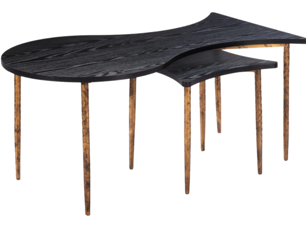 Norden Coffee Table Set (2-Piece) Black & Bronze