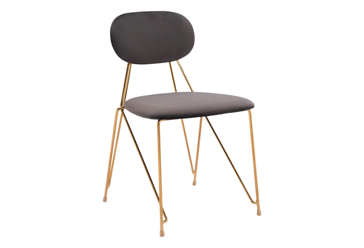 Georges Dining Chair (Set of 2) Gray & Gold