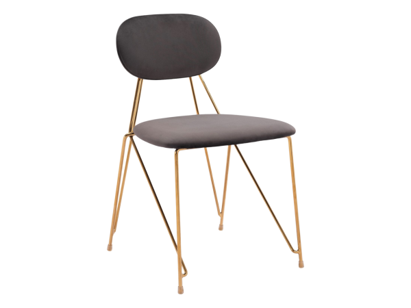 Georges Dining Chair (Set of 2) Gray & Gold
