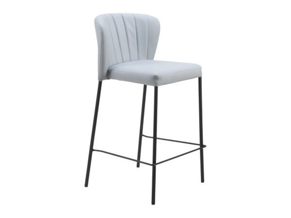 Linz Counter Stool (Set of 2) Gray