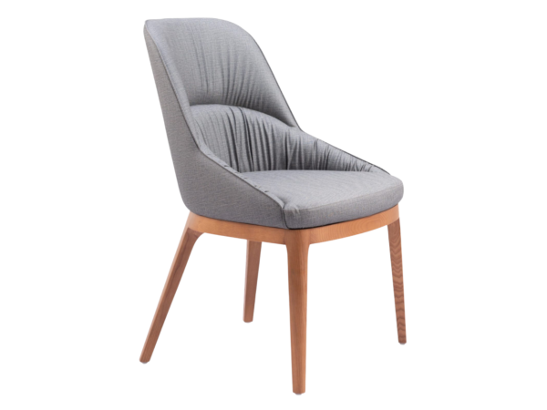 Ayr Dining Chair (Set of 2) Slate Gray