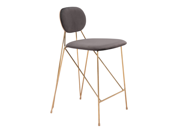 Georges Counter Stool (Set of 2) Gray & Gold
