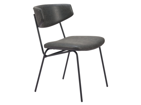Charon Dining Chair (Set of 2) Vintage Black