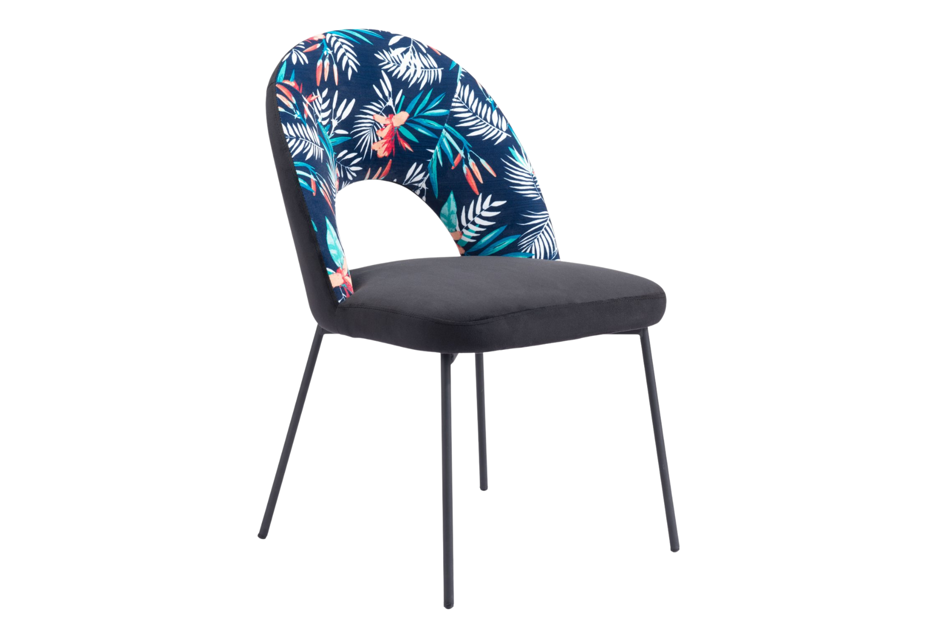 Merion Dining Chair (Set of 2) Multicolor Print & Black