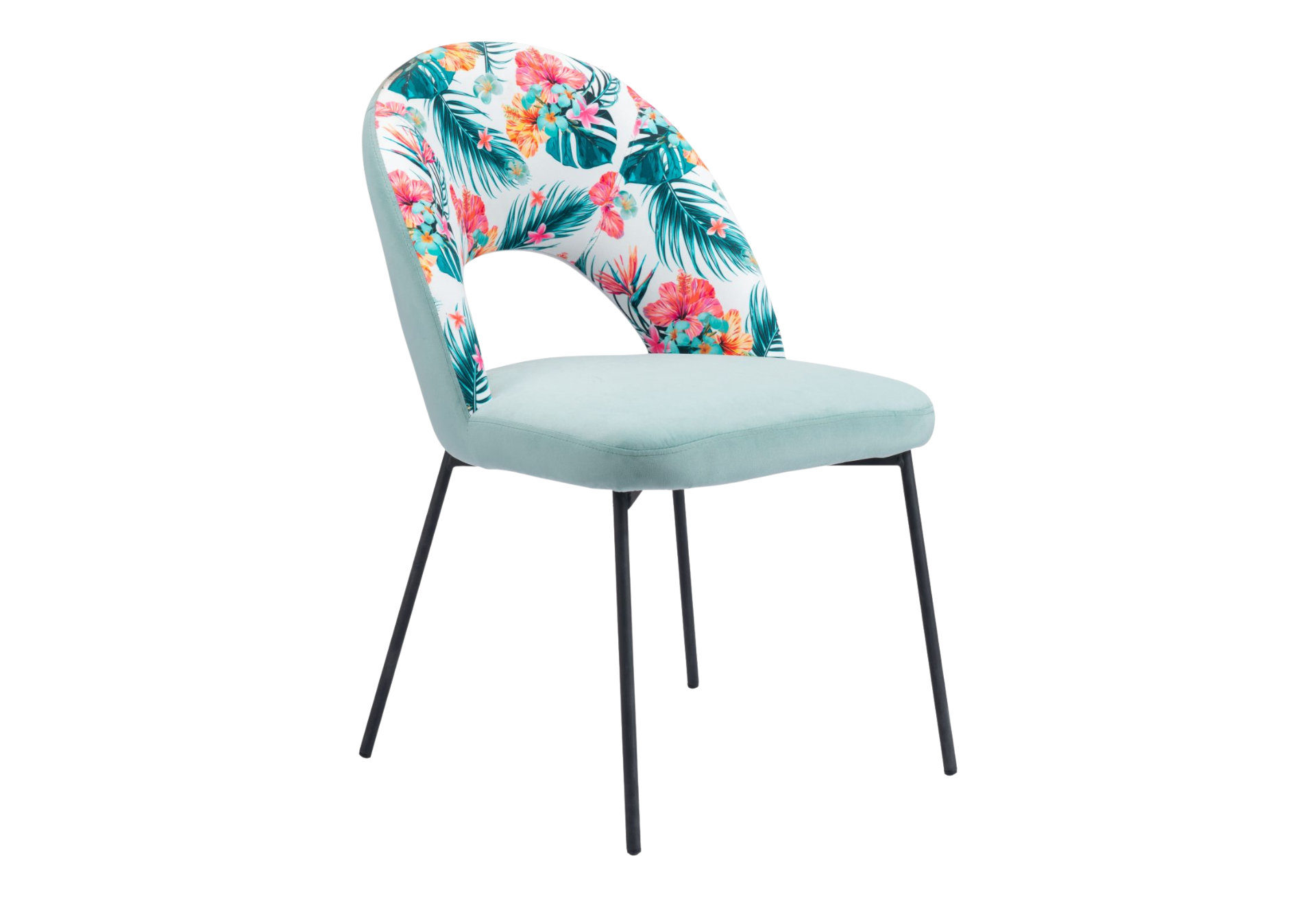 Bethpage Dining Chair (Set of 2) Multicolor Print & Green